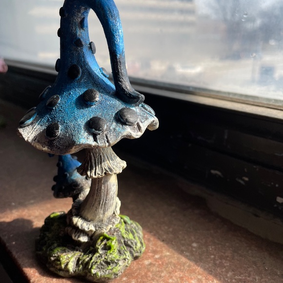 Garden mushroom - Picture 2 of 4